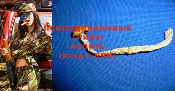 ПСИЛОЦИБИНОВЫЕ ГРИБЫ Зерноград