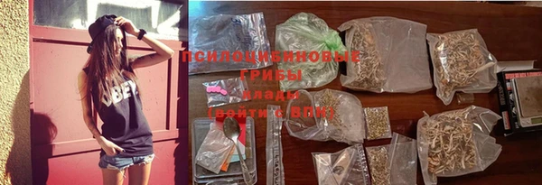 ПСИЛОЦИБИНОВЫЕ ГРИБЫ Зерноград
