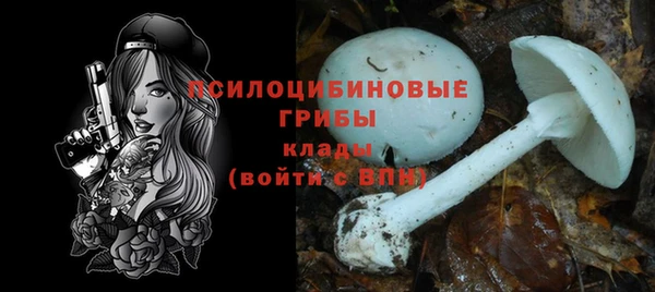 мяу мяу мука Зеленокумск