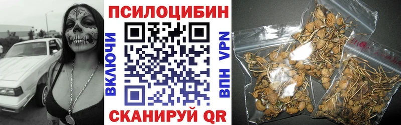 Купить  Лагань  Галлюциногенные грибы мицелий 
